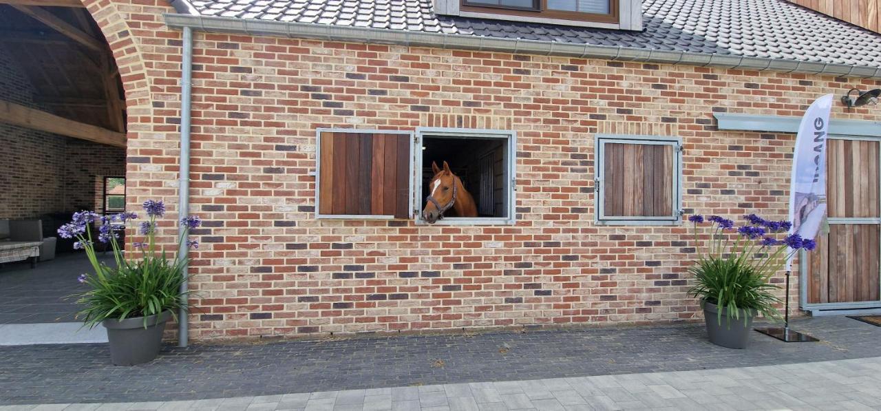 Logies Op 'T Gestel Opglabbeek Exterior foto